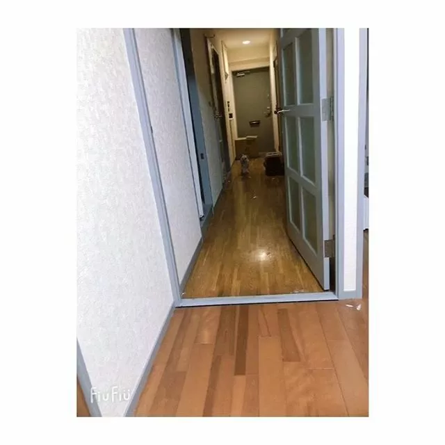 蓮