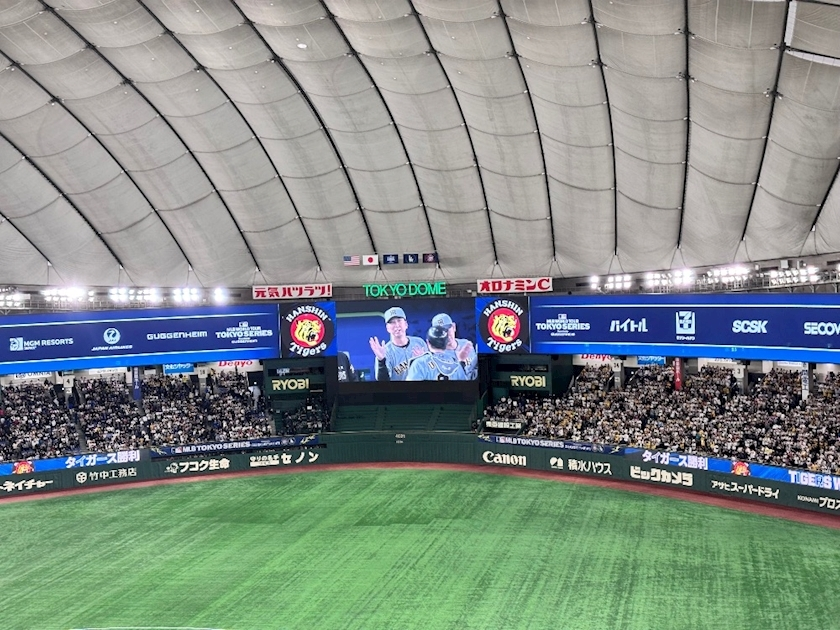 あおい