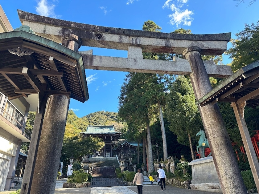 七瀬 えみり