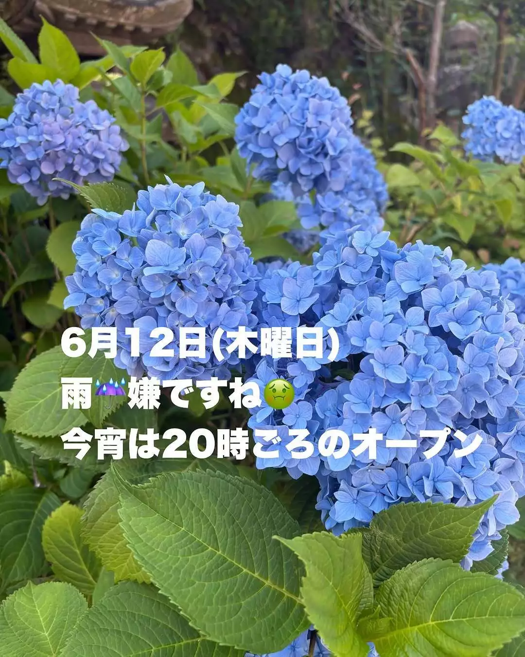 藤本 祐子ママ