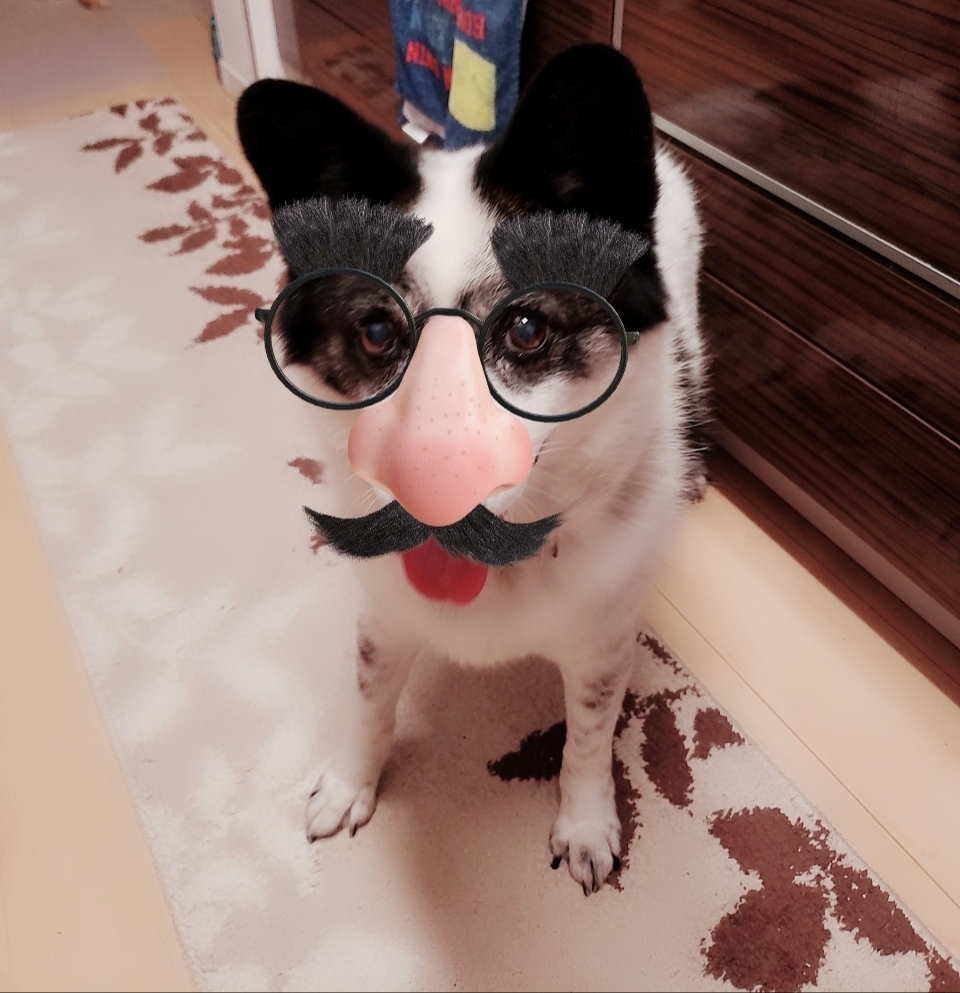 もも