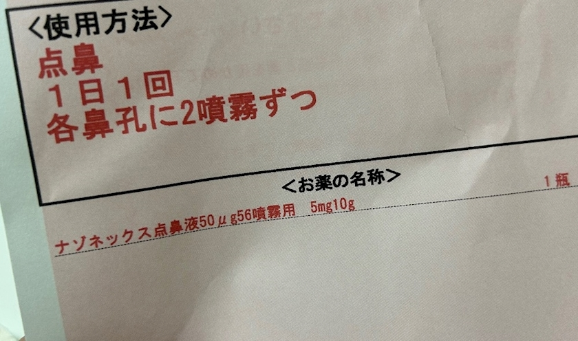 麗日 ひな
