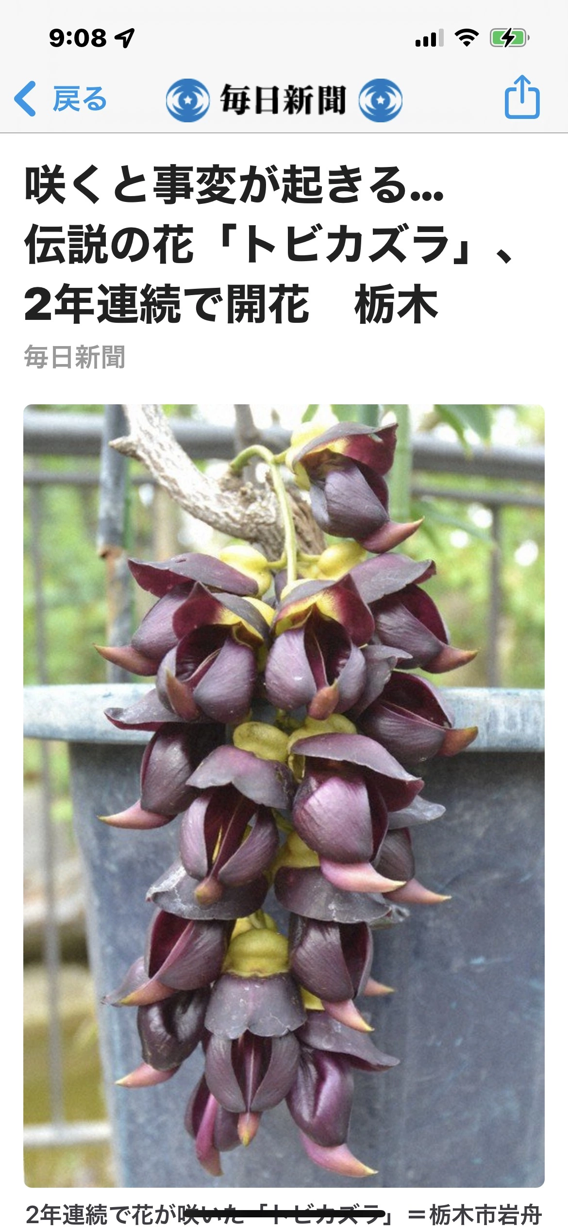 藤本 祐子ママ