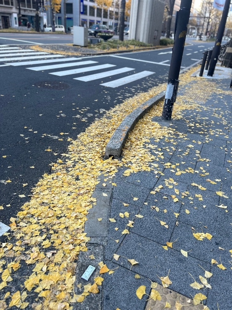 のどち スタッフ