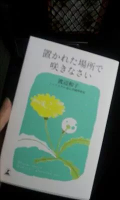桃瀬 百華