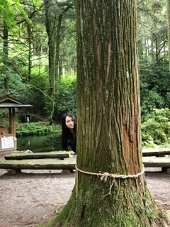 未来