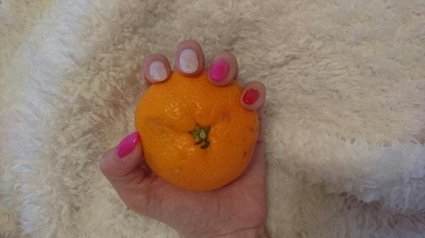 らん