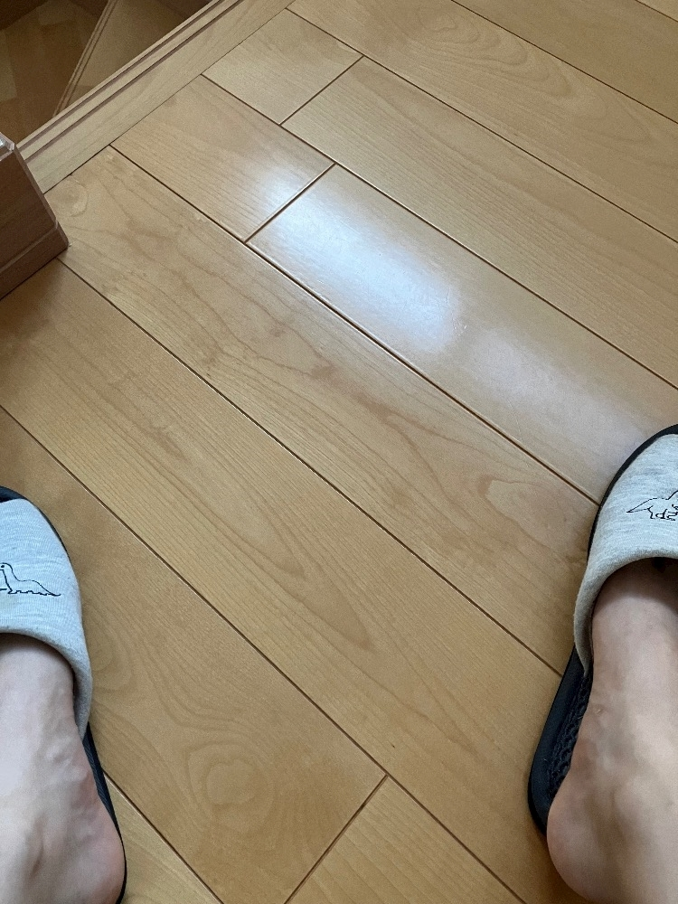 カノン