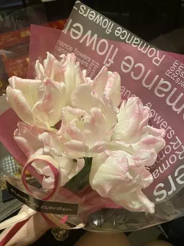 白石 愛莉