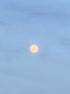 はづき