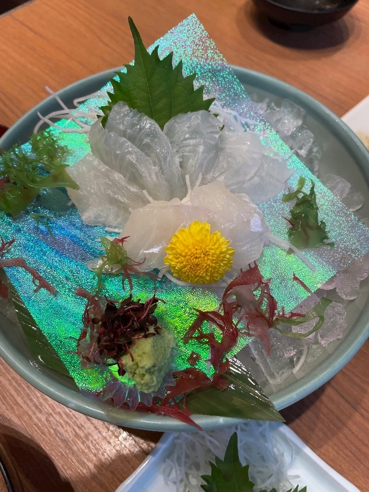 朝倉 しおり