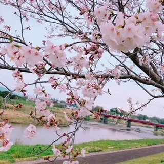 あい
