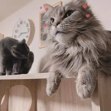 蓮海 マリーヤ