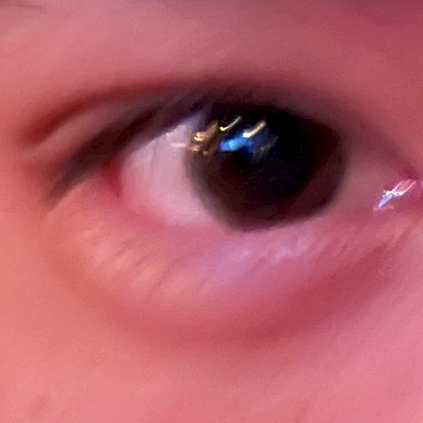 はるか