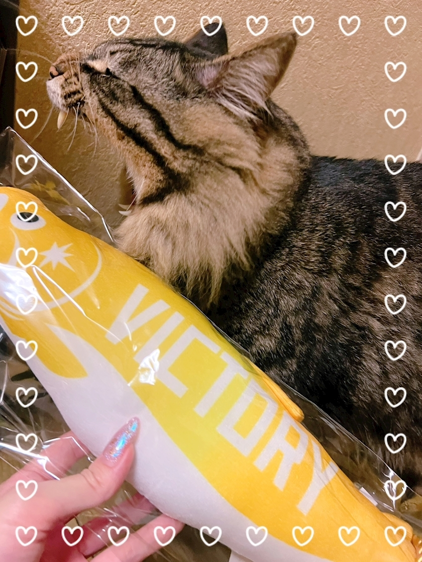 杉谷 ちなみ