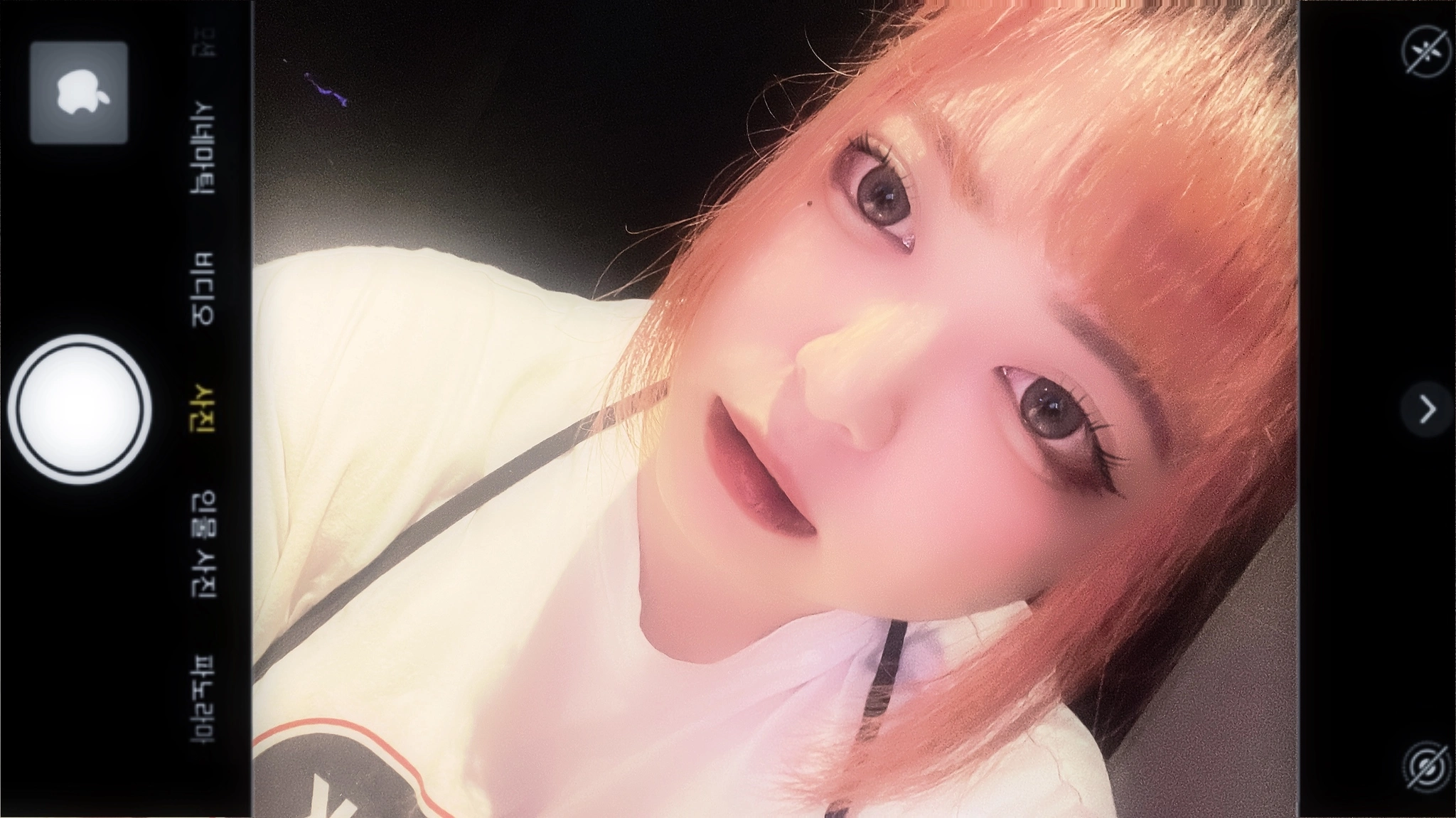つばさ