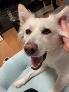 京 さゆみ