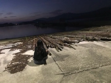 なな