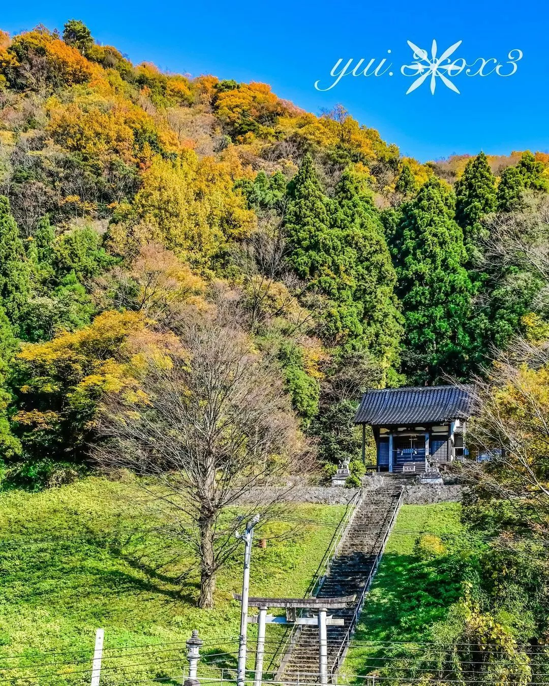 神崎　唯