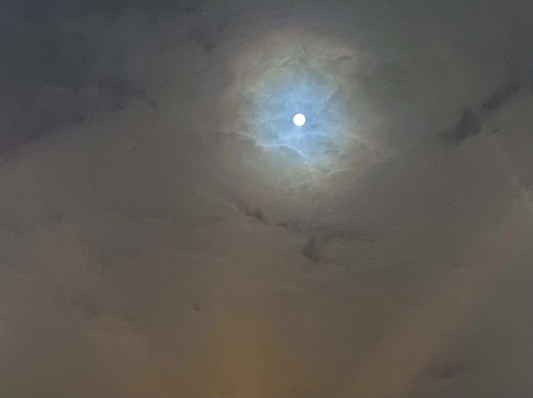 七星 夏純