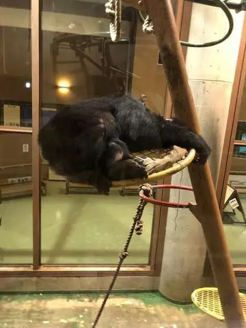 長瀬 純恋