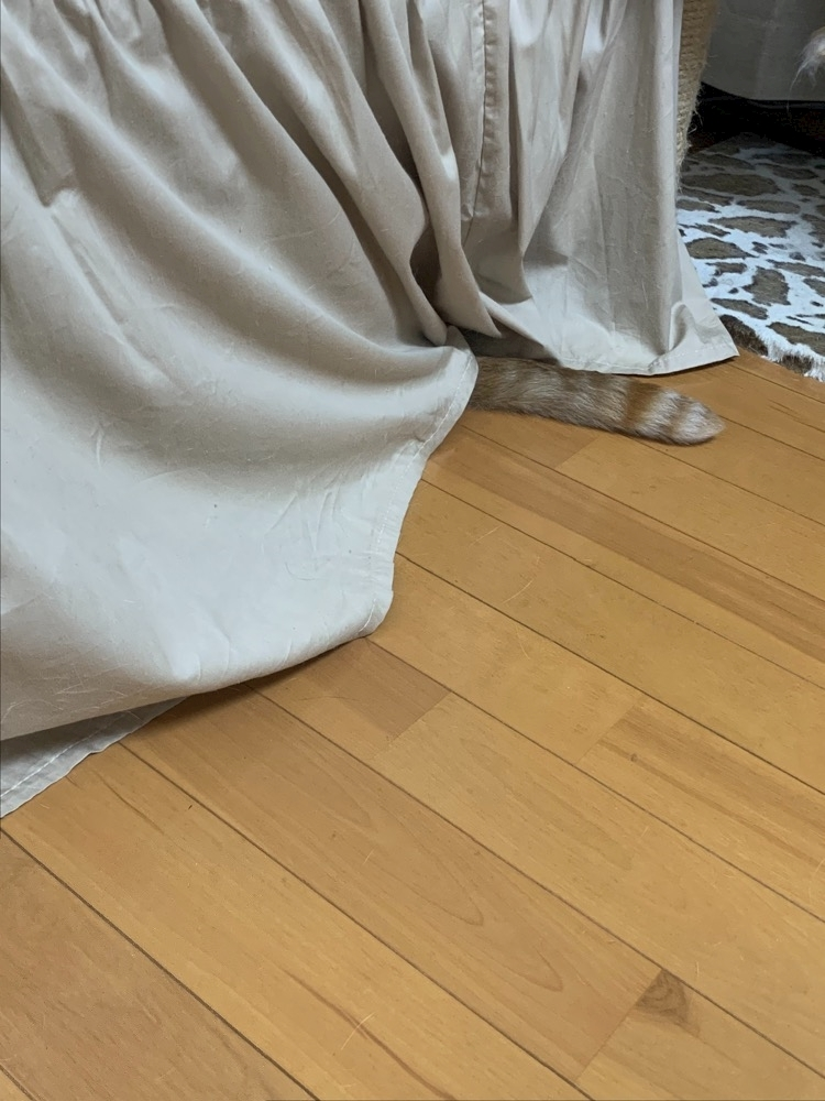 れみ