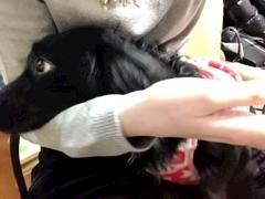 りえ