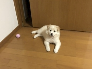 京 さゆみ