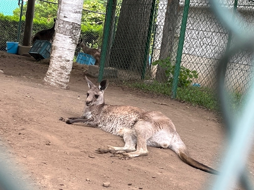 乙川 ゆあ