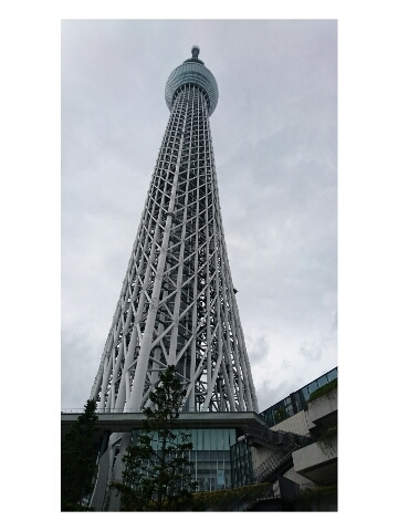 綾瀬 さき