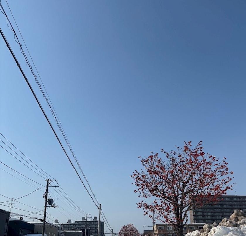 香川 ゆい