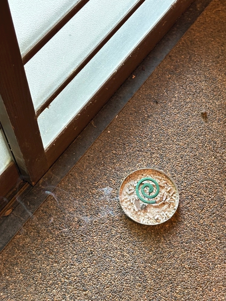 葉月 ひろみ