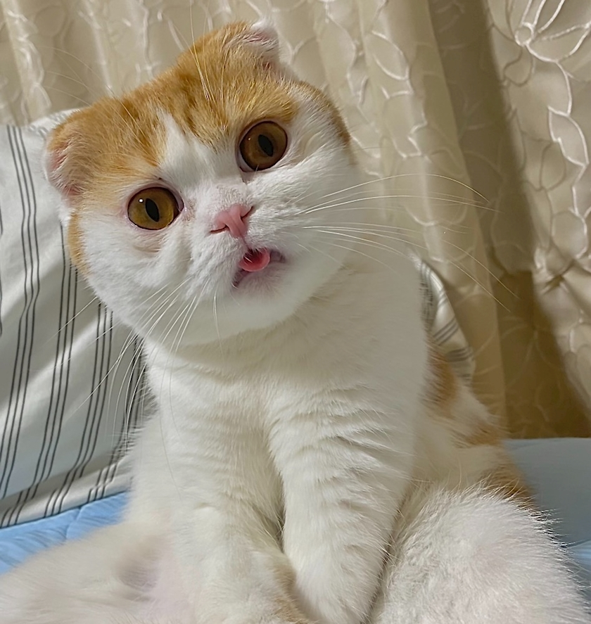 るな