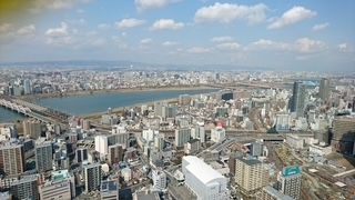 成海 まお