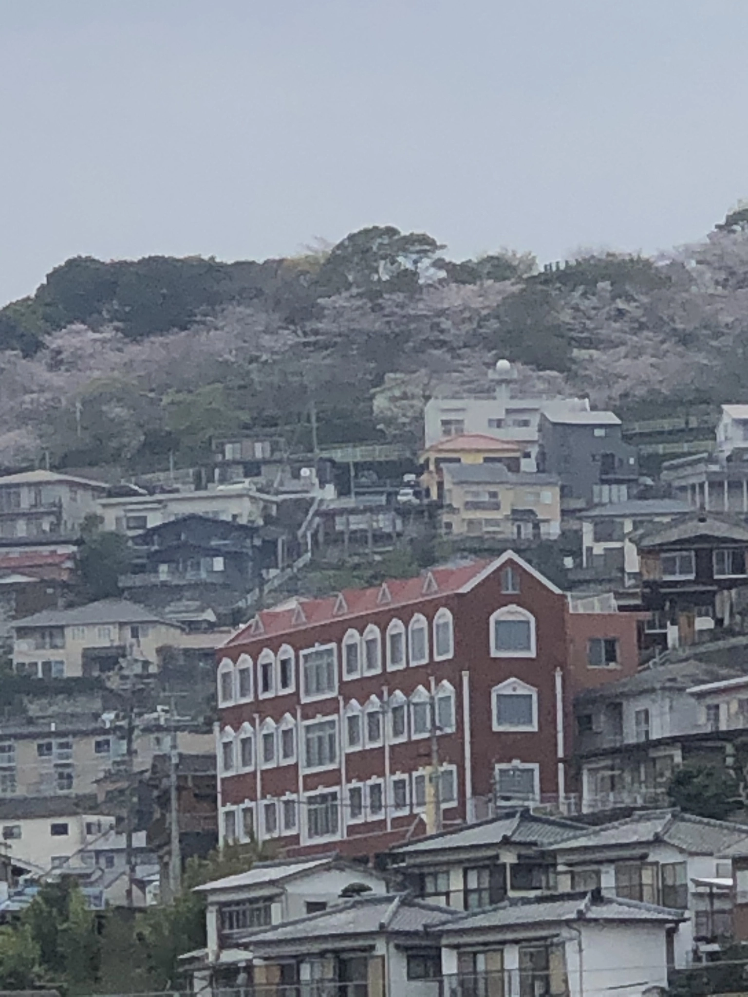 藤本 祐子ママ