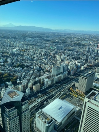 宝條 夏恋