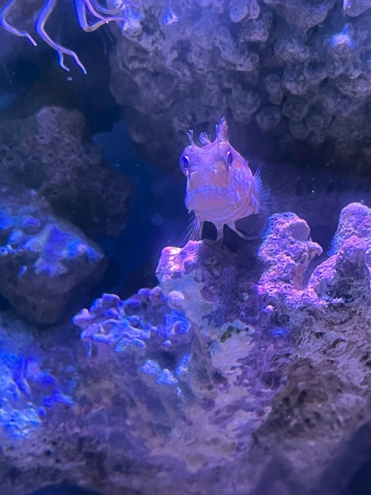 ナミ