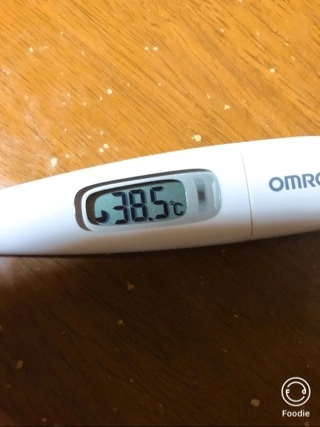 宝條 夏恋