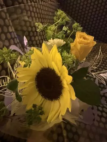 白石 愛莉
