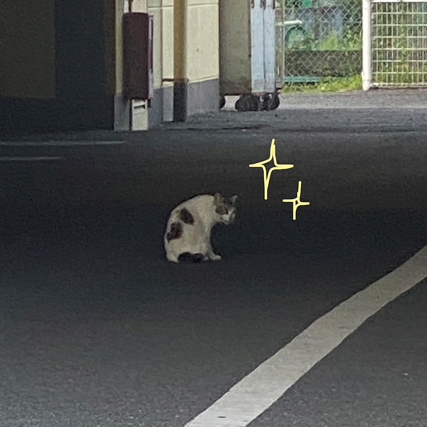 ふう