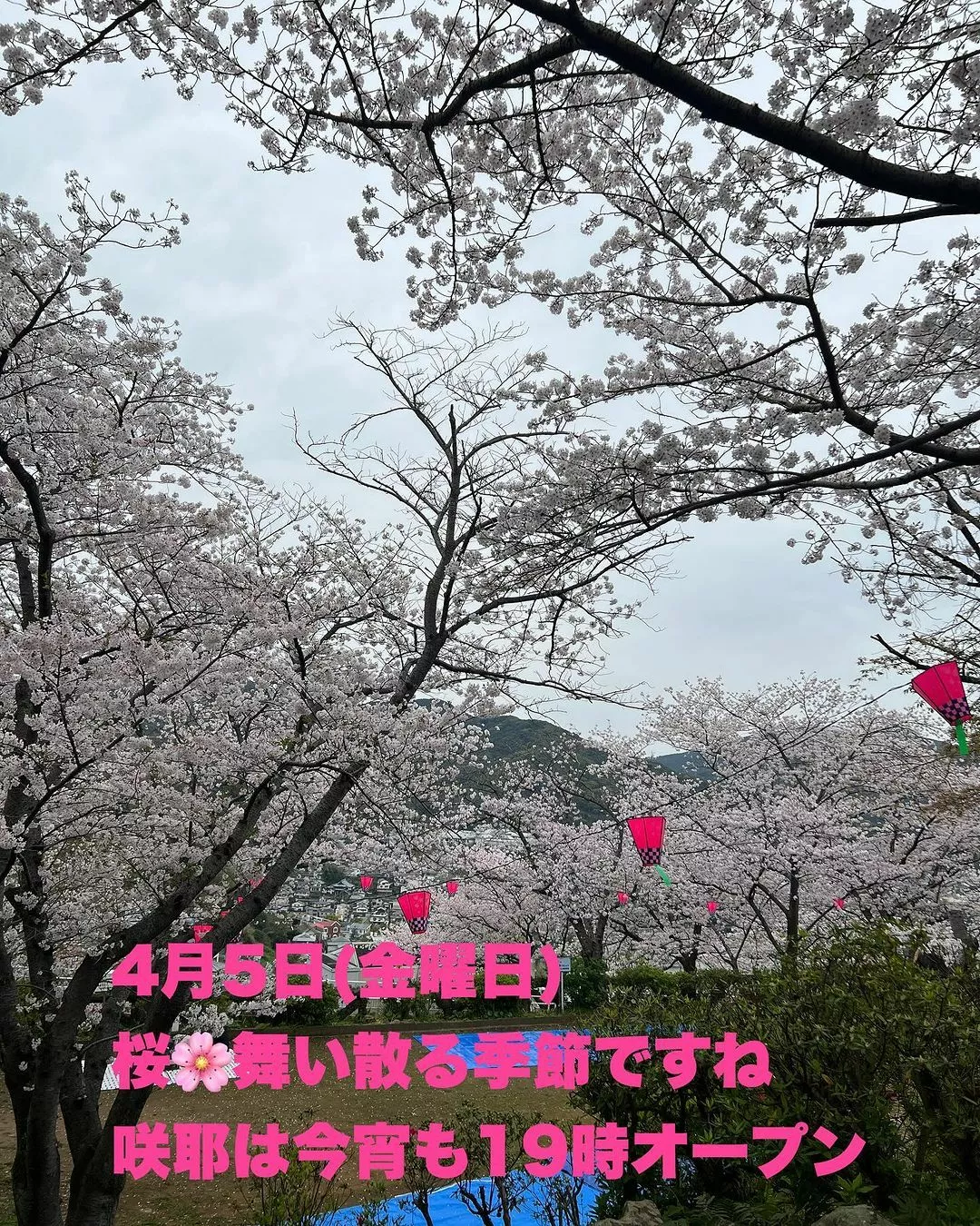 藤本 祐子ママ