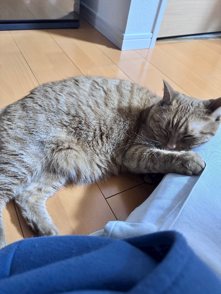 らい