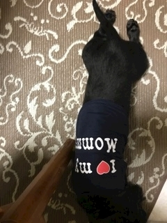 りえ