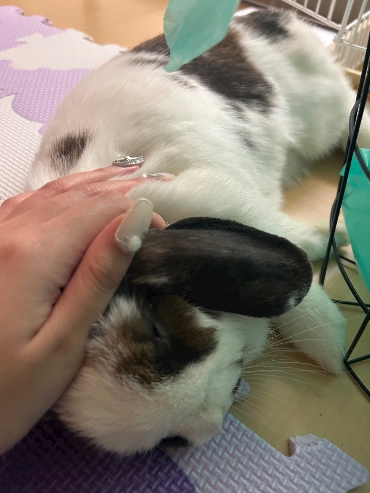 湊崎 さな