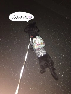 りえ