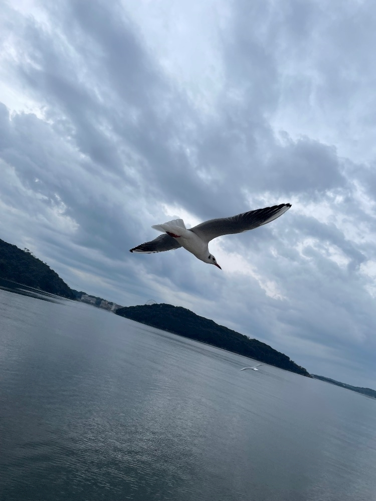 神崎 かんな
