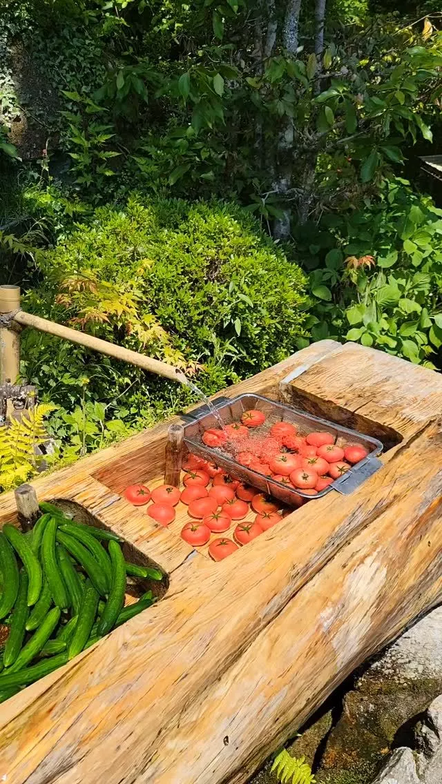 桃園 かんな