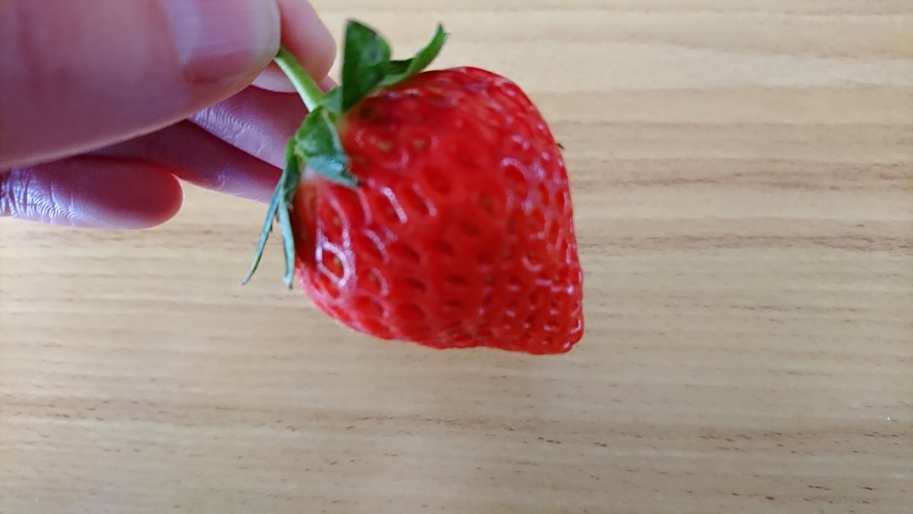 五条 椿