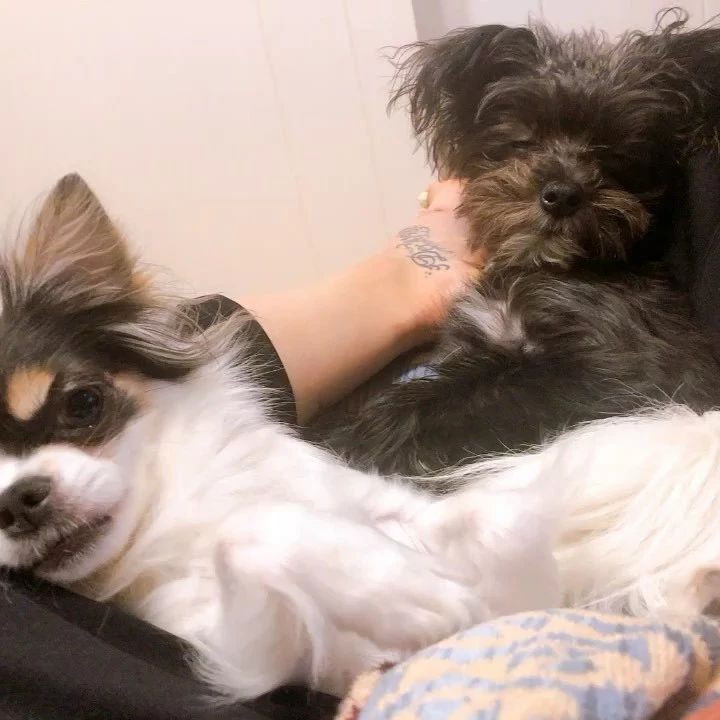 じゅん