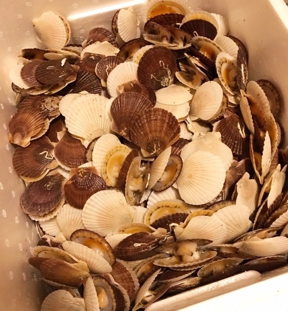 夏樹 あや